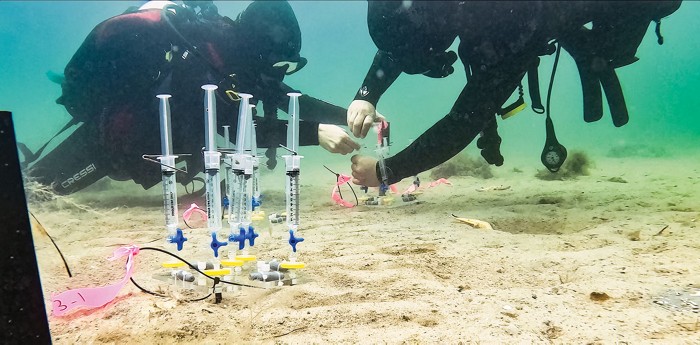 Podcast: Can altering ocean chemistry fight climate change?