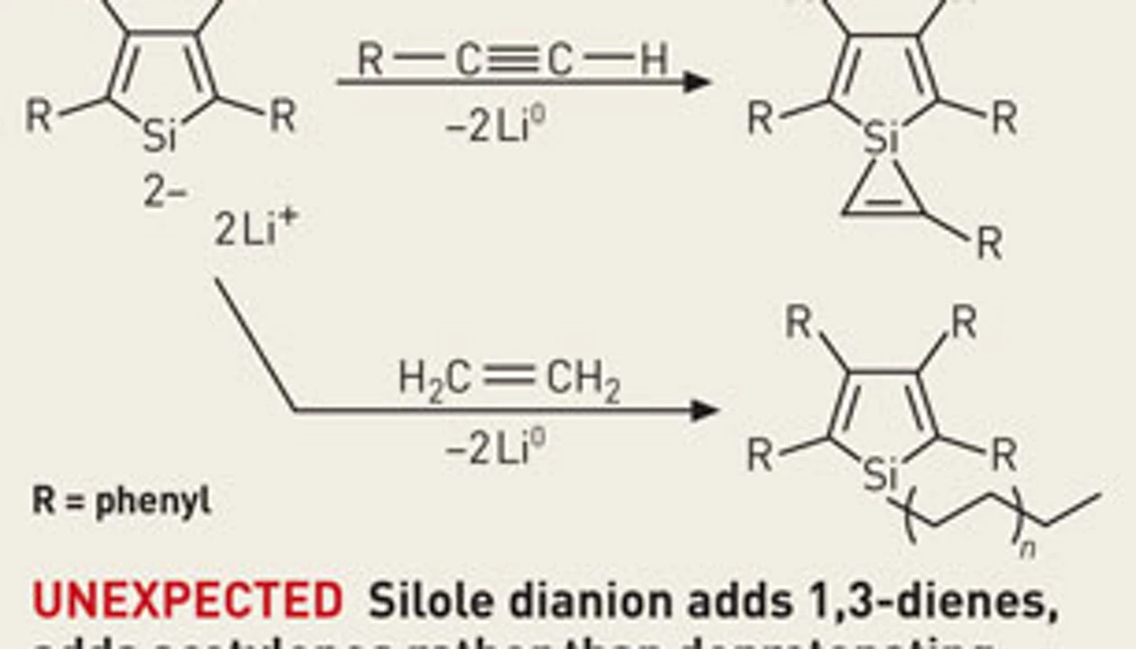 Siloles Display Surprising Chemistry