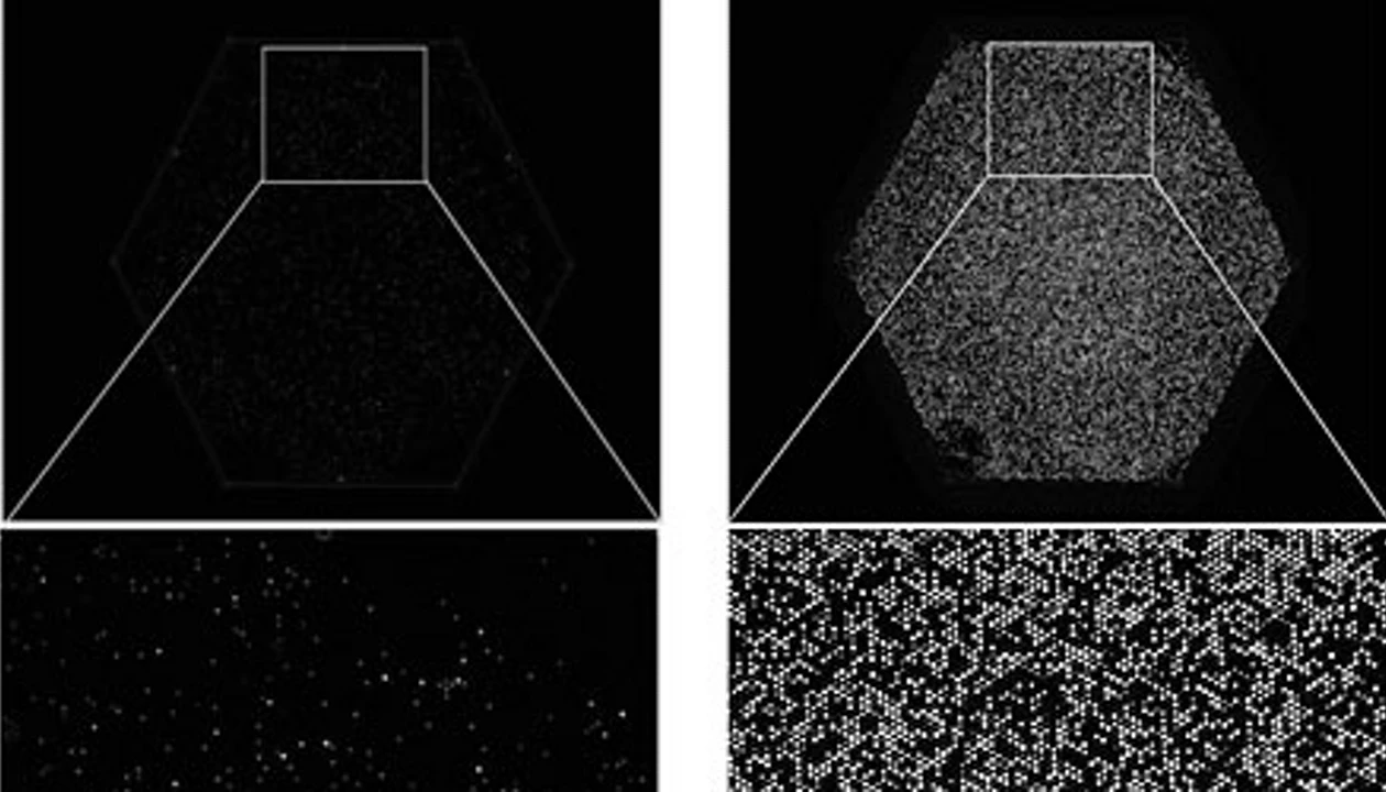 The Wide Open (Dynamic) Range