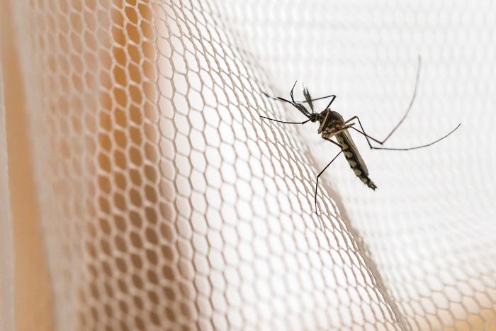 Mosquito nets fight malaria with chemistry