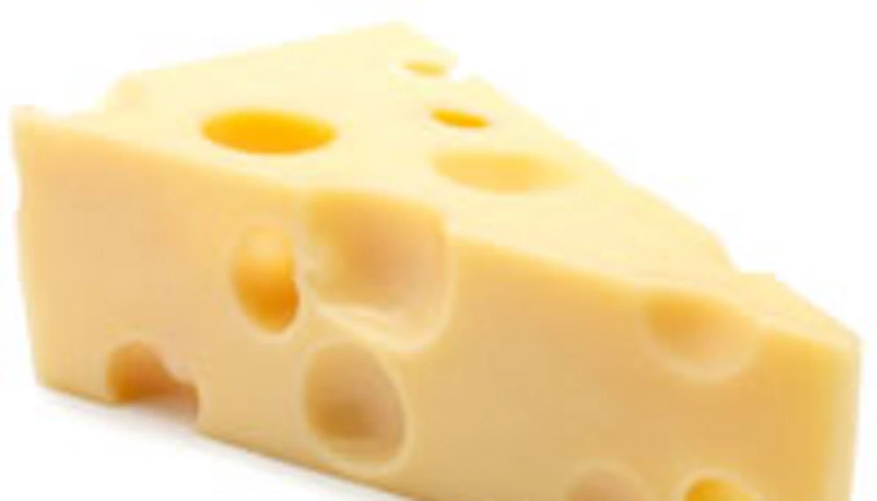 Probing Probiotic Cheese