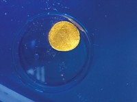 Serving the chemical, life science, and laboratory worlds