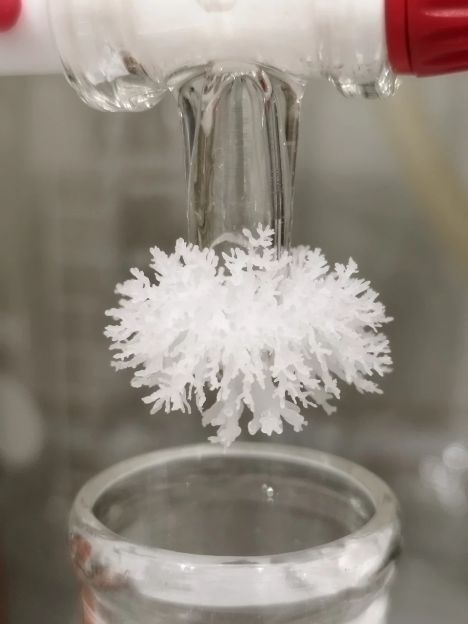 Delicate white crystals on a piece of laboratory glassware.