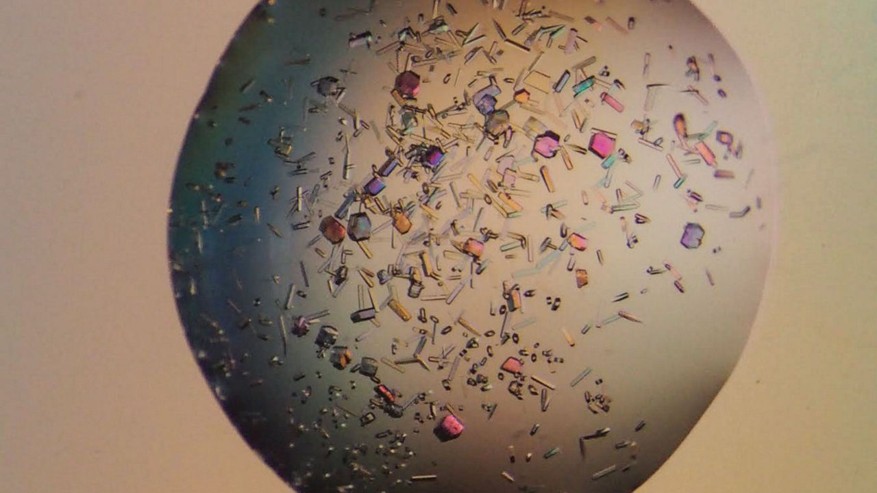 Chemistry in Pictures: Practice makes perfect proteins