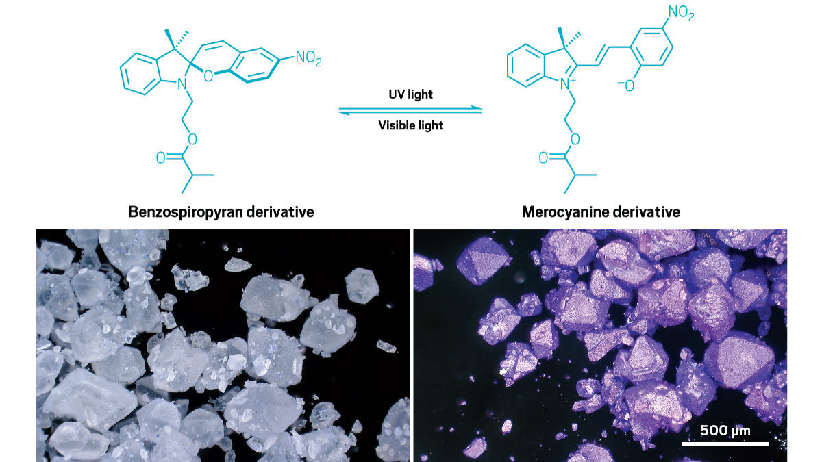 A chemical scheme shows a benzospiropyran derivative transforming into a merocyanine derivative. The reaction proceeds forward under ultraviolet light and backward under visible light. Images of granules are below the reaction, showing the colorless starting material and the purple product.