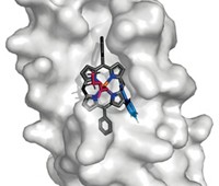 Serving the chemical, life science, and laboratory worlds