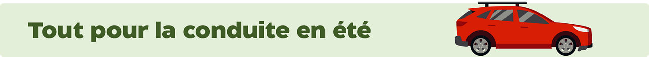 Tout pour la conduite en été.