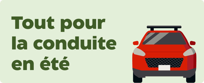 Tout pour la conduite en été..