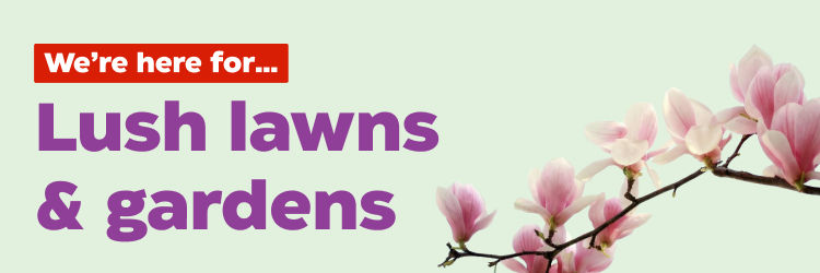 We're here for...
Lush lawns & gardens