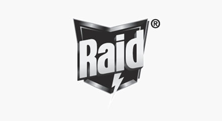 Raid logo.