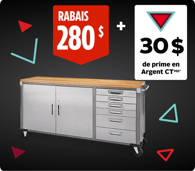 Économisez 100&nbsp;$ et obtenez 30&nbsp;$ en Argent CT en prime sur la souffleuse à neige sans fil à 1 phase EGO, 56 V.