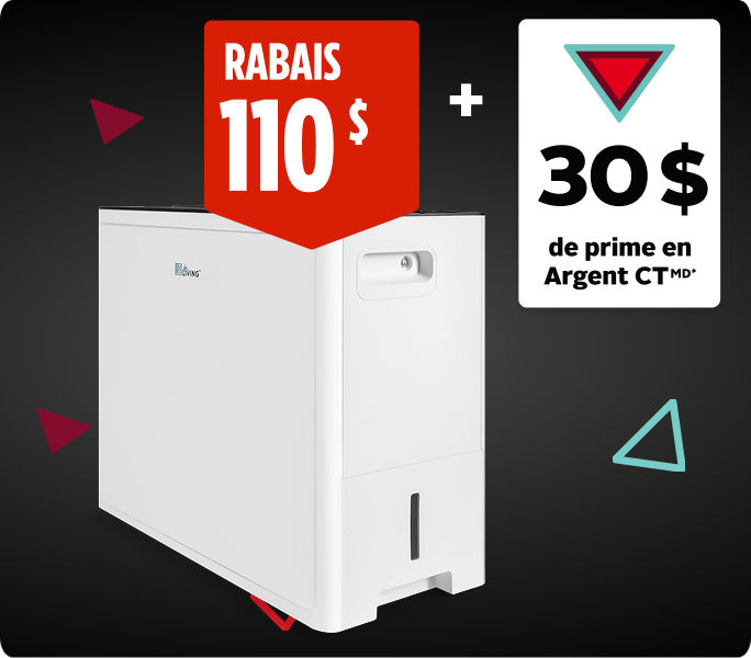 Économisez 110&nbsp;$ et obtenez 30&nbsp;$ en Argent CT en prime sur le déshumidificateur For Living.