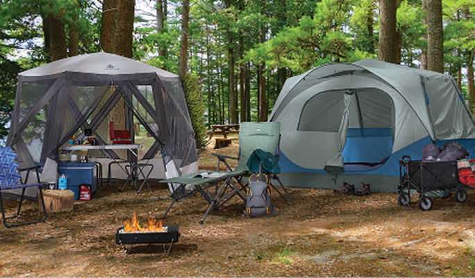 Two tents set up in the woods near a campfire. 