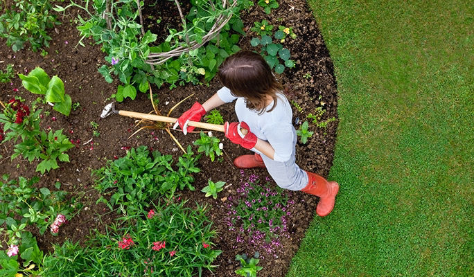 Shop Lawn & Garden products.