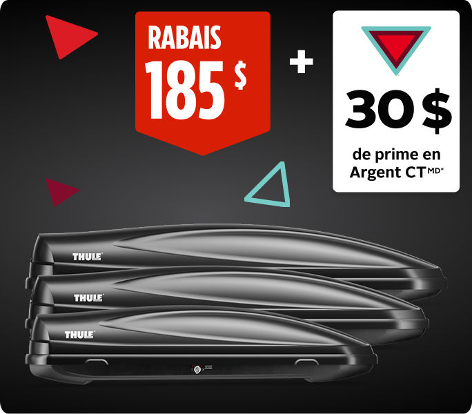 Coffre de toit Thule Convoy XT, grand RABAIS DE 185 $ + OBTENEZ 30&nbsp;$ EN ARGENT CTMD