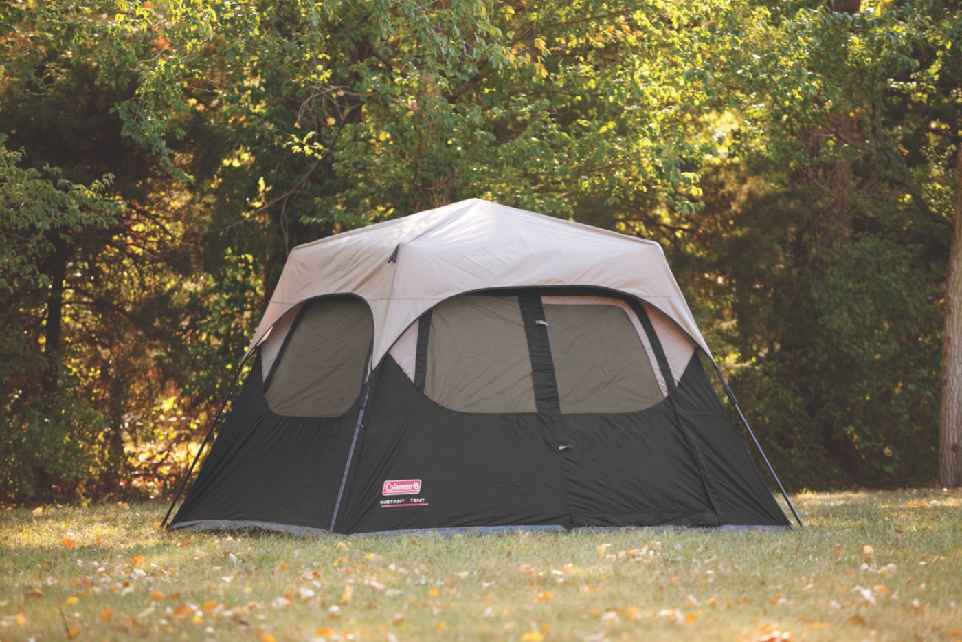 coleman instant 4 tent