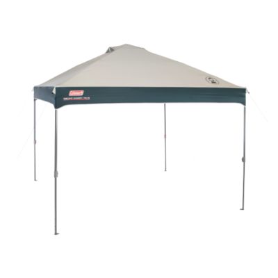 10 x 10 Instant Canopy