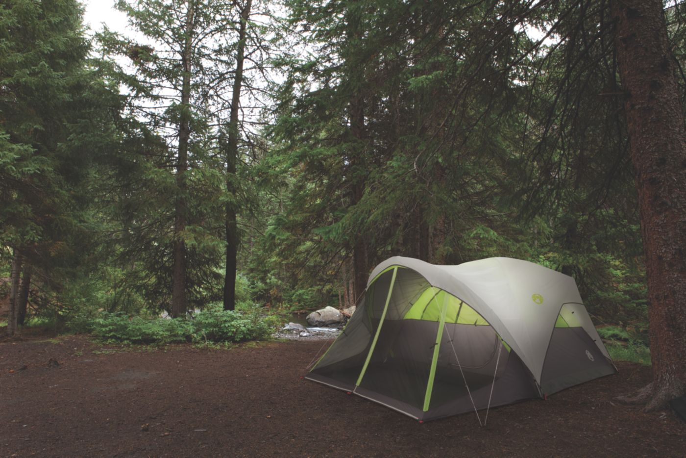 coleman steel creek tent