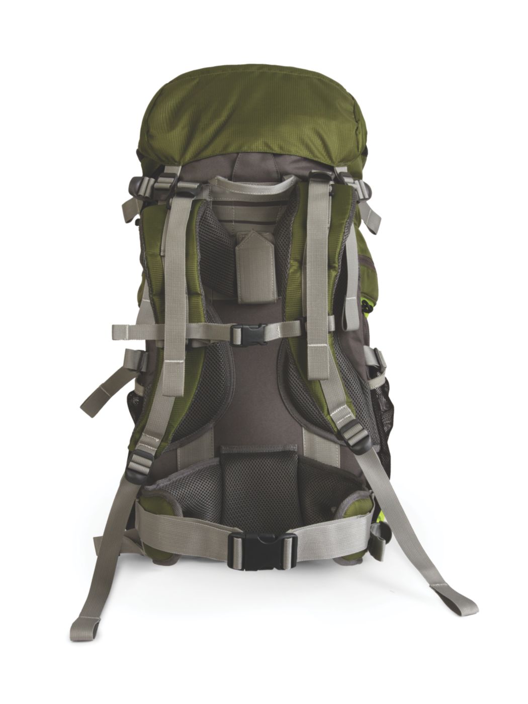 coleman elate 45l