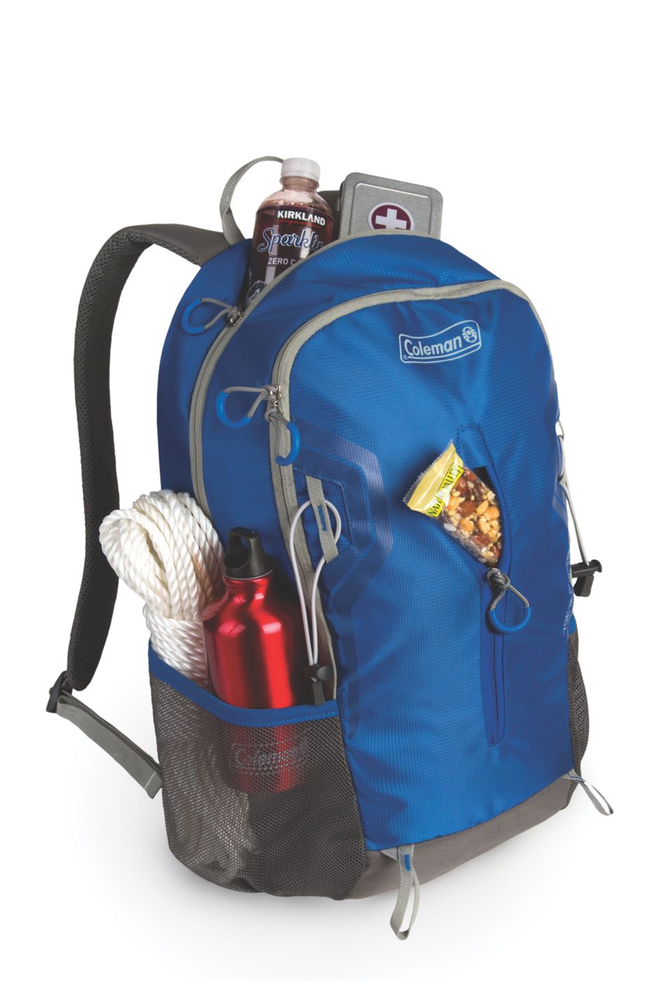 coleman day pack