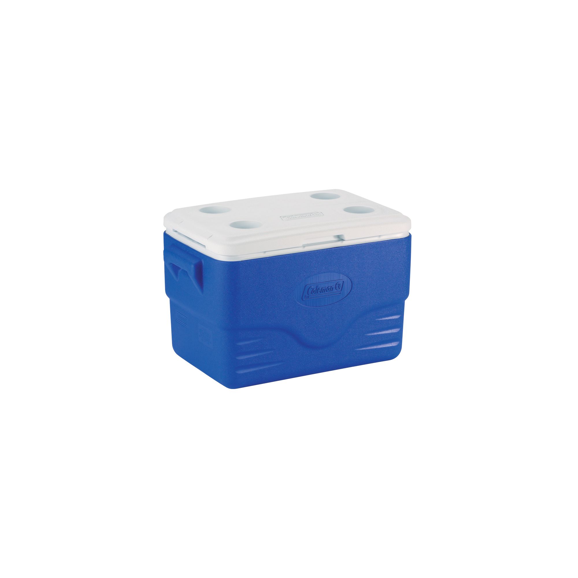 collapsible cooler with stand