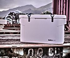 Learn about the extreme durability of Esky coolers