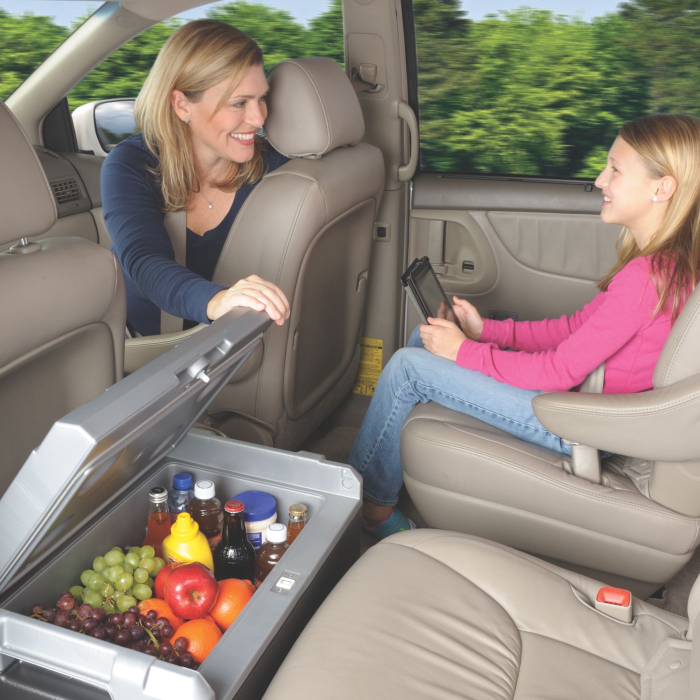 40 quart electric cooler