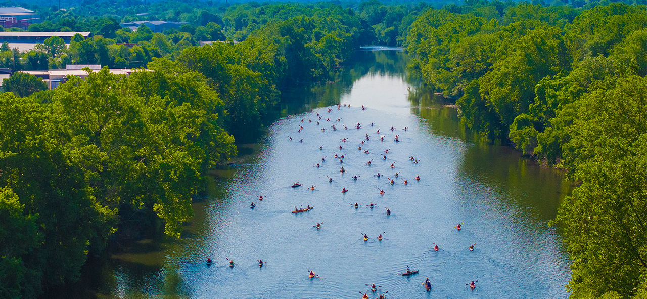 Kayakers enjoying a day on a waterway surrounded by green trees