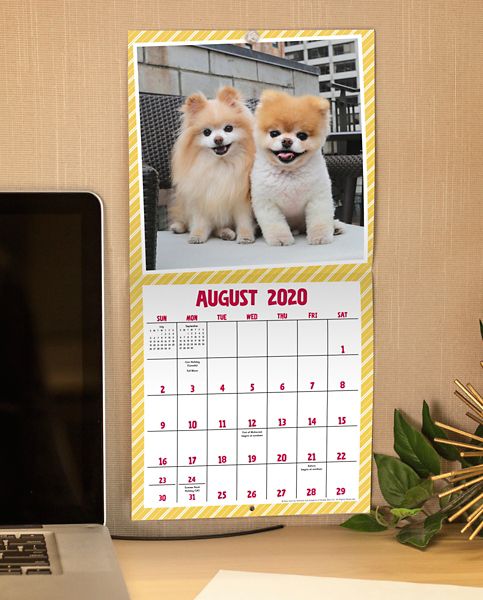Mead Boo The Worlds Cutest Dog 7x7 Mini Monthly Wall Calendar