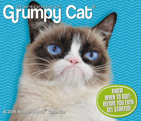 Grumpy Cat Year-In-A-Box Calendar | LMB247 | Mead