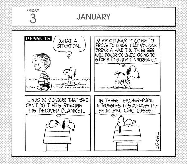 Peanuts Calendar Lmb249 Year In A Box