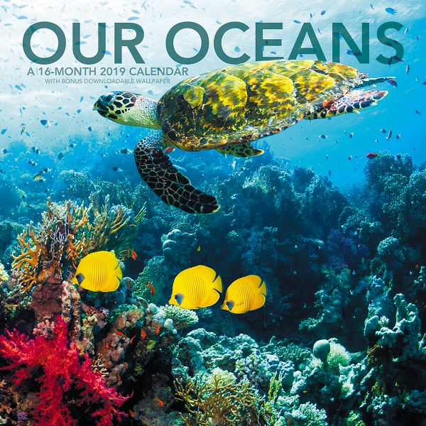 Our-Oceans-Wall-Calendar-2019