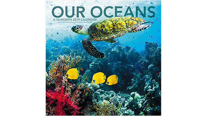 Our Oceans Wall Calendar 2019 Epub-Ebook
