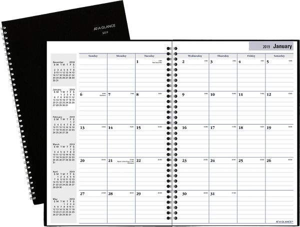 DayMinder Monthly Planner | SK2 | AT-A-GLANCE