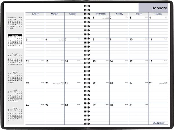 At A Glance Dayminder Monthly Planner