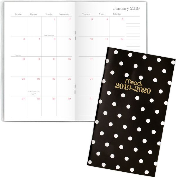 Simplicity 2 year monthly pocket planner tl4720 mead