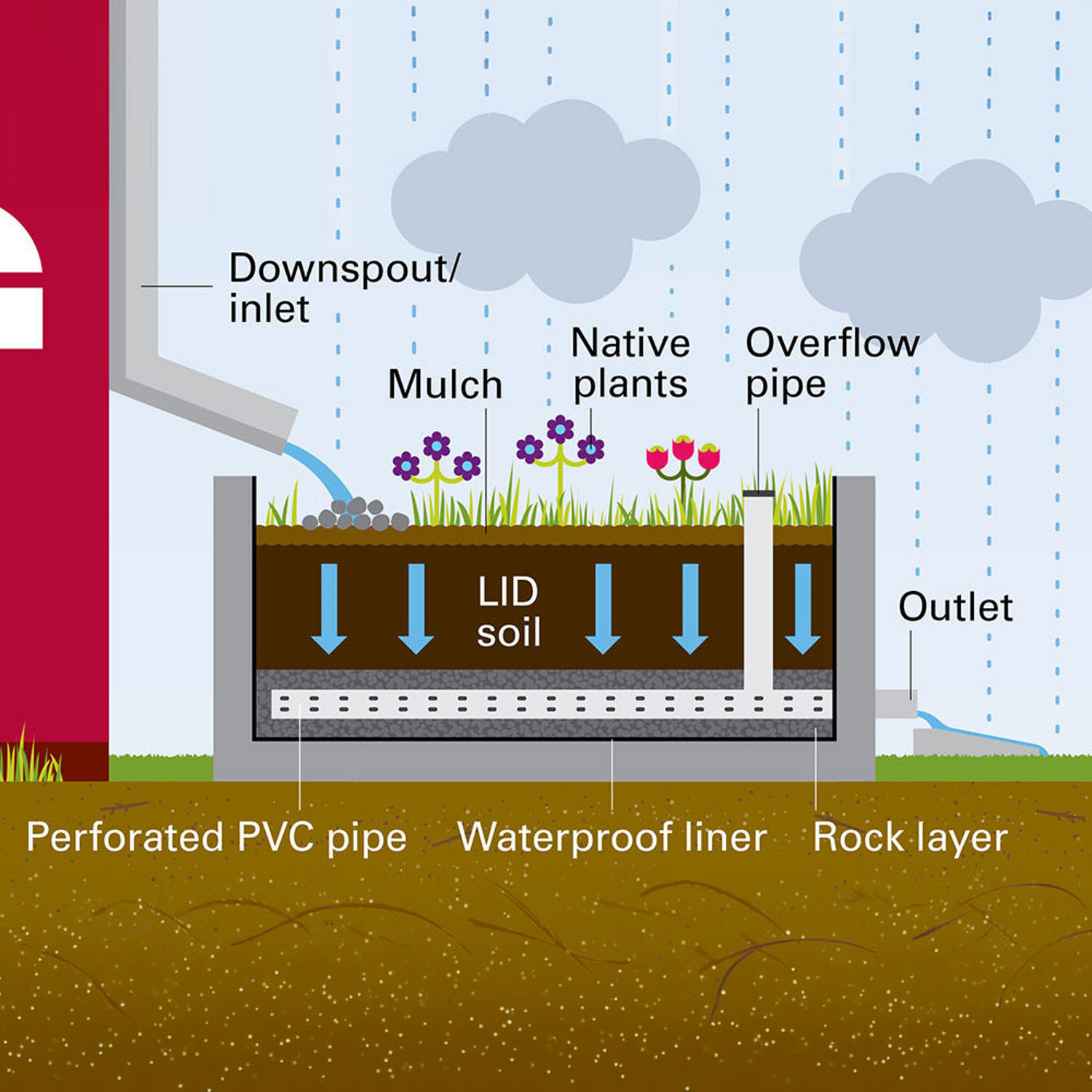An illustrated cross‑section of an above‑ground box planter used for stormwater management. The diagram shows rainwater entering from a downspout into a planter filled with mulch, native plants, and specialized LID soil. Arrows indicate water movement downward through the soil toward a perforated PVC pipe set above a rock layer and enclosed by a waterproof liner. An overflow pipe and outlet are also shown, demonstrating how excess water exits the system. Labels identify each component, including the inlet, mulch, native plants, overflow pipe, LID soil, perforated PVC pipe, waterproof liner, and rock layer.