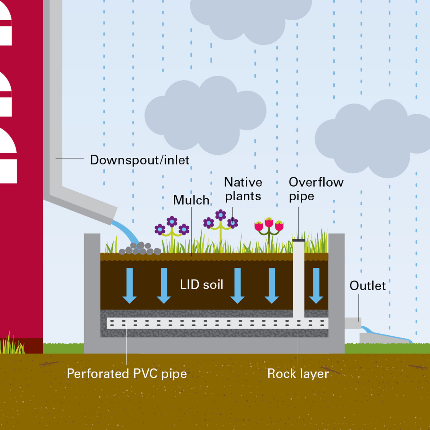 Rain Gardens and Box Planters | EPCOR Edmonton