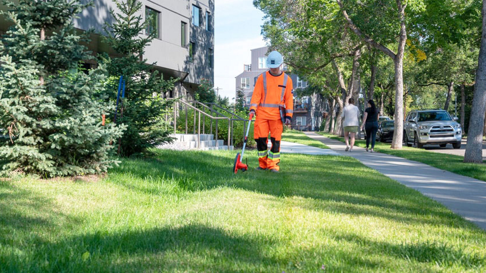 Absorbent landscaping