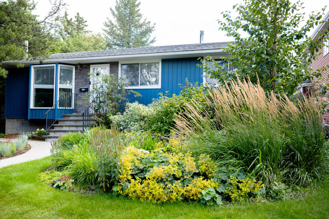 Front yard of a blue single‑storey home transformed with lush plants, ornamental grasses, and sustainable landscaping features.