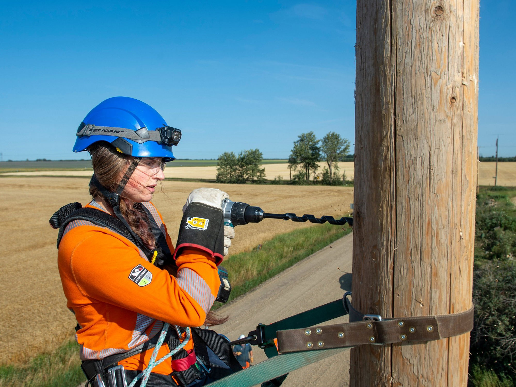 Electricity Safety in your Neighbourhood | EPCOR Collingwood, ON