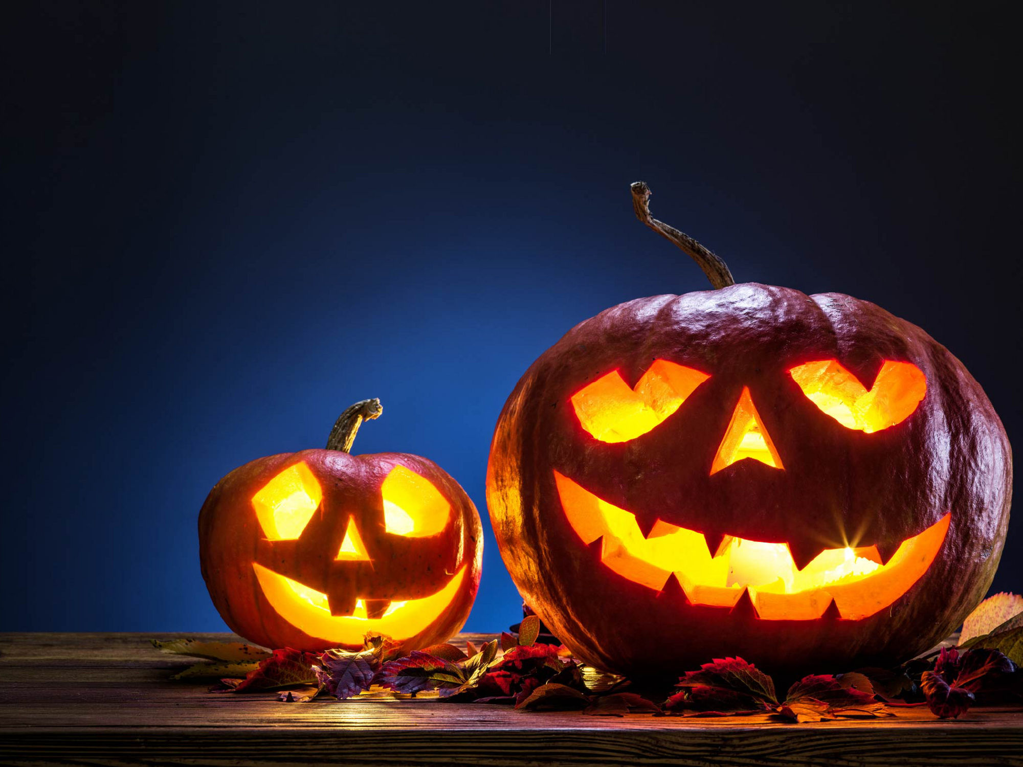 Two carved pumpkins glow against a dark blue background, surrounded by autumn leaves on a wooden surface.