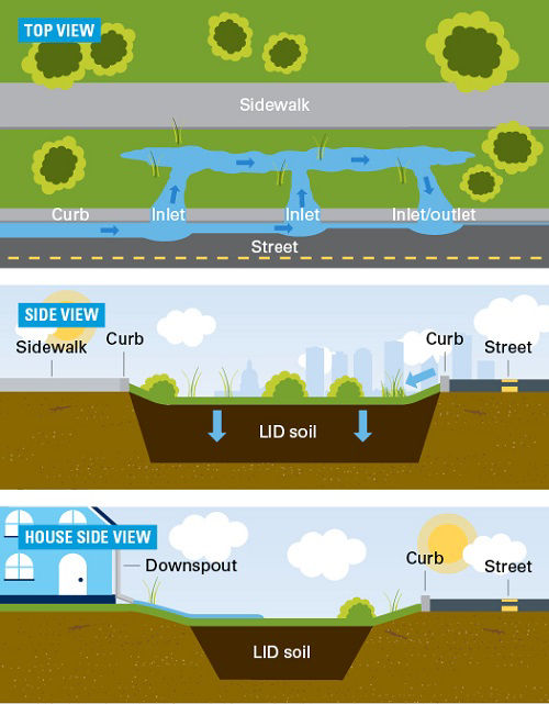 Absorbent landscaping