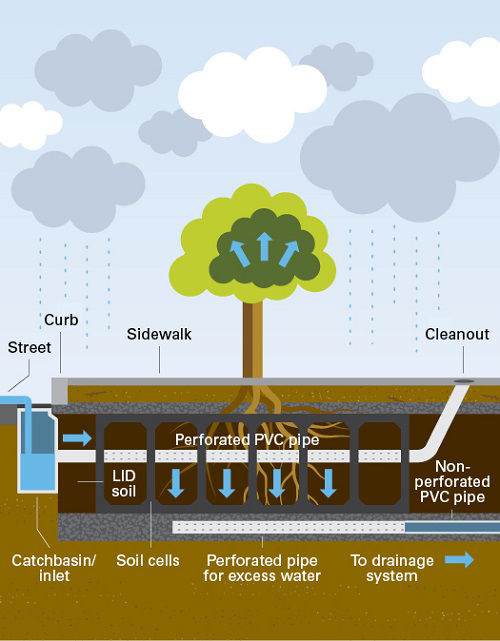 Soil cells