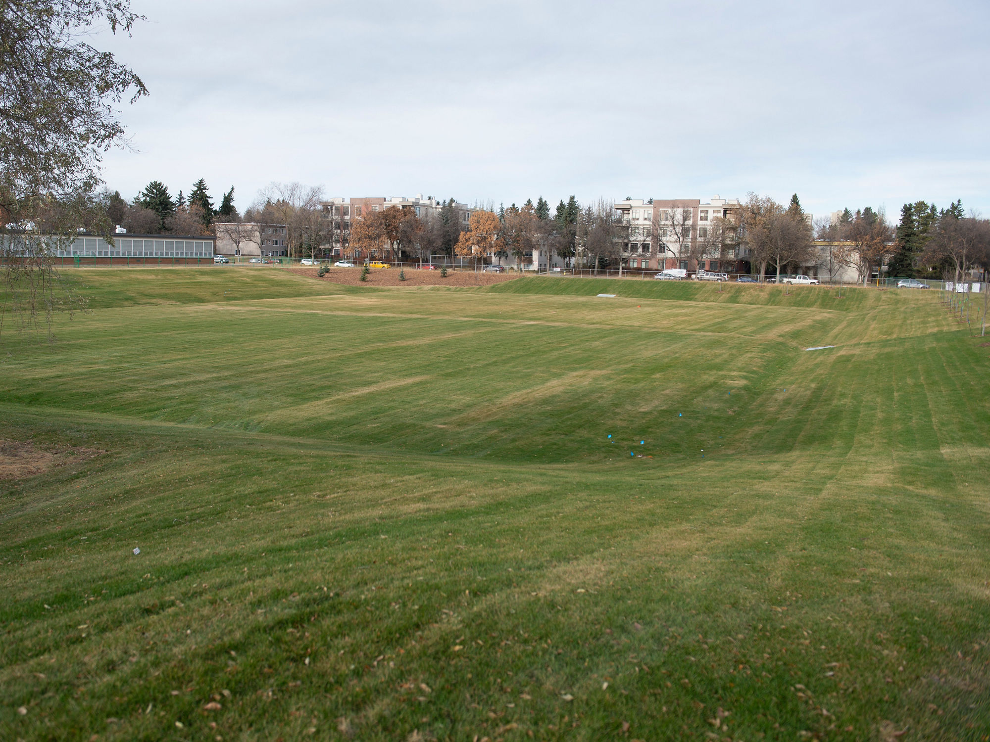 A wide, well-maintained grassy area with a gentle slope, known as a dry pond, bordered by leafless trees and several buildings.