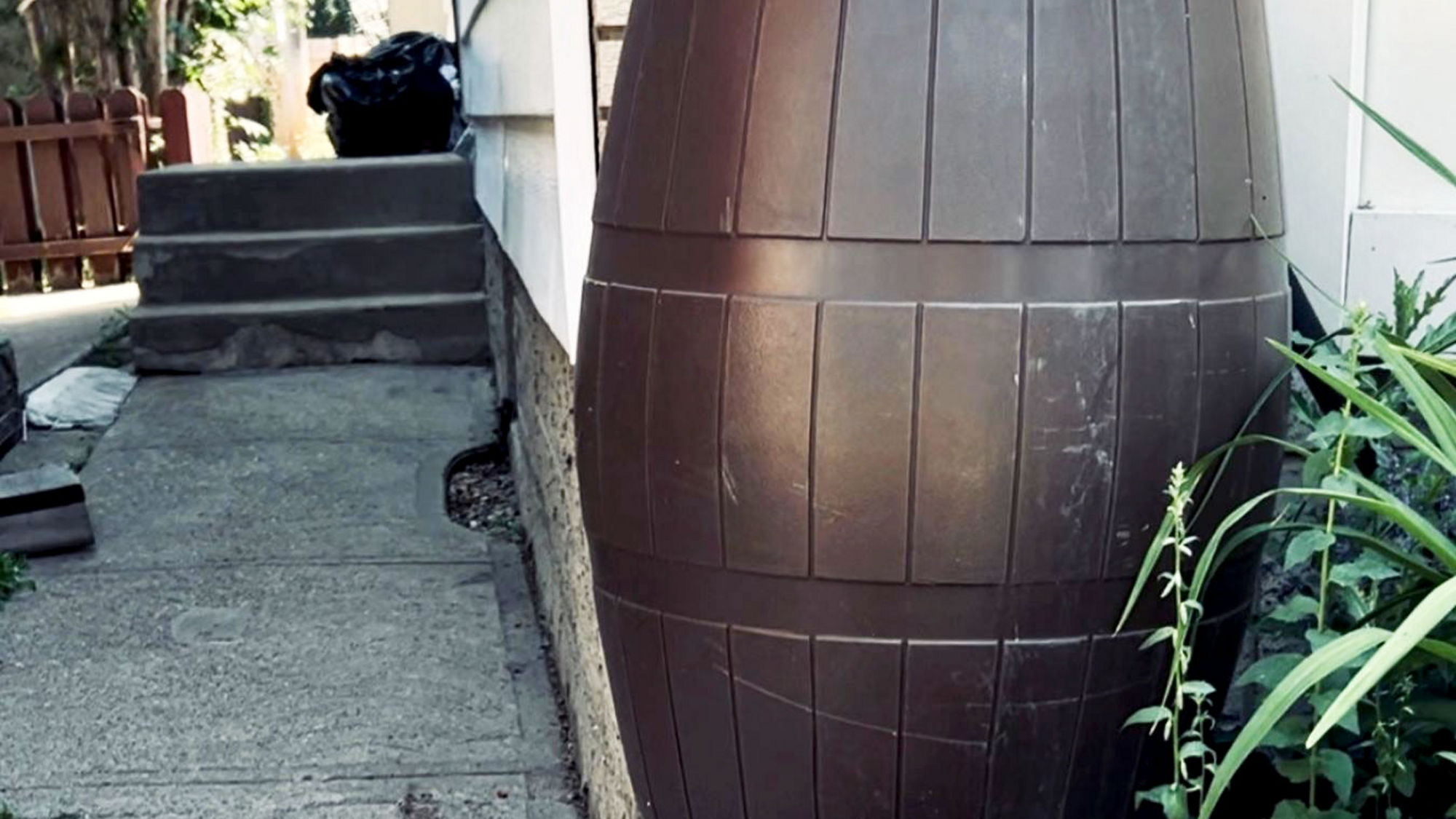 A brown rain barrel positioned beside a house and connected directly to a downspout to capture roof runoff. It sits along a concrete walkway next to garden plants, illustrating a typical residential setup for harvesting and storing rainwater.