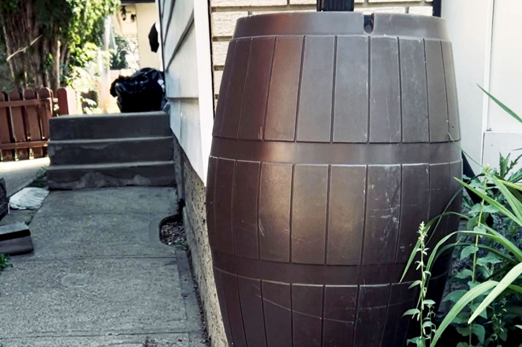 A brown rain barrel positioned beside a house and connected directly to a downspout to capture roof runoff. It sits along a concrete walkway next to garden plants, illustrating a typical residential setup for harvesting and storing rainwater.