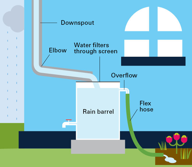 Rain barrels/storage tanks (minimum of 200L)