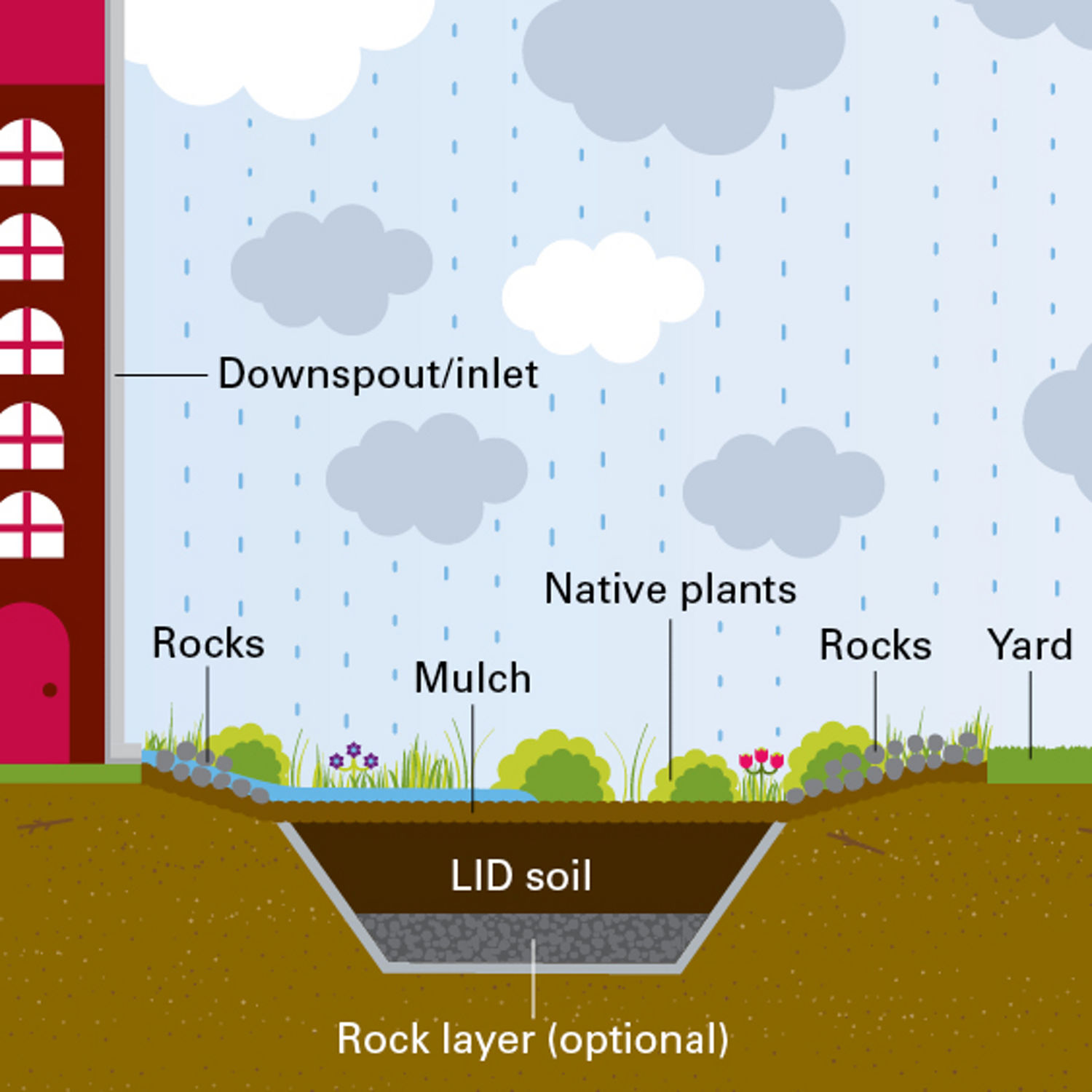 Rain garden diagram example