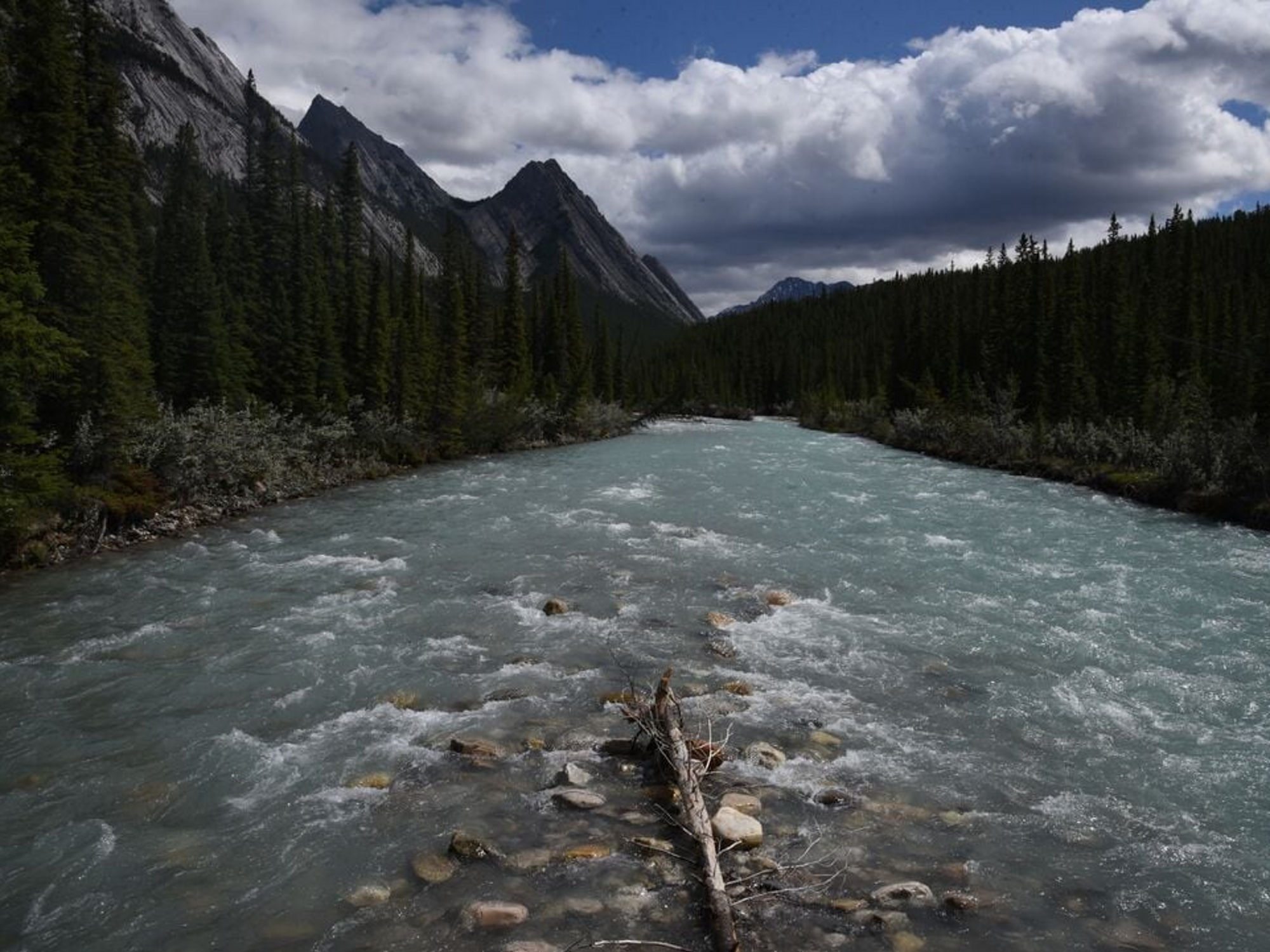 A turquoise glacial river rushes through a forested mountain valley.